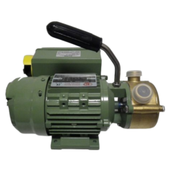 Sjálfsogandi dælur